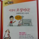 국제오징어 이미지