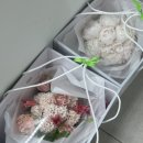 노을이슬 | [공지] 🕊️Wedding 21 l [본식후기] - 라비두스 본식후기