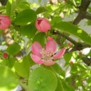 서흥초교 이미지