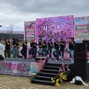 세종시민체육관 | 세종시 셔플댄스 셔플공연 셔플핏 벚꽃축제 셔플공연