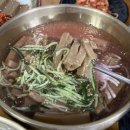 도토리나무수제비
