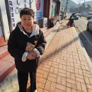 대곡리 마을회관 | 귀농·귀촌, 살아보고 결정하세요! 완도에서 3달 살아보기, 울모래마을에서의 열 번째 날