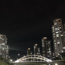 (공연) 히사이시조 영화음악 콘서트 2023 세종 이미지