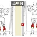 트레이닝데이 피트니스 이미지
