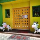 삼일푸른유치원