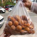 3.2공원(야외화장실) 이미지