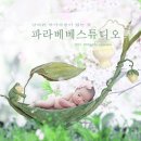 파라베베스튜디오 이미지
