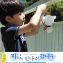 지금 만나러 갑니다 이미지