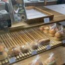 오전오시 | [마포 베이커리, 공덕역 베이커리] 오전오시 소금빵, 버터바, 롤치즈 식빵 내돈내산 후기