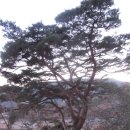 창녕 화왕산~부곡종주(27km)110116[리믹스] 이미지