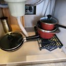 썬포레스트 이미지