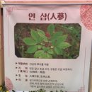 제36회 동성로축제 이미지