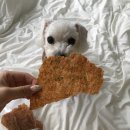 하이 오도독 이미지