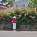 금산알뜰주유소 이미지