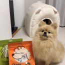 하나로덴탈 | [벳플브이츄덴탈껌] 한쪽만 씹는 강아지 필수템! 벳플 브이츄 덴탈껌 2종 후기