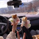 명산기사식당 이미지