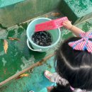 후사랑밀크(환희목장) 이미지