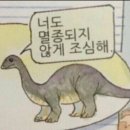 평소엔 싫어도 오늘은 괜찮아