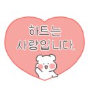 카페점보코코