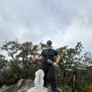 추월산이보이는집 | 25년 10월19일 담양 추월산