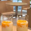 츄잉츄잉 | 공차 신메뉴 츄잉망고밀크 후기 강남본점