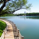 강릉경포그리고바다 이미지