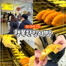 행복한온누리약국 | 동탄 붕어빵 행복한잉어빵 호수공원 팥 슈크림 붕어빵 맛집