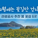 꽃길만걷자6 이미지