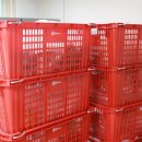 군포종합약국 이미지