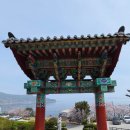 남해-141 | 창원 장수암 | 바다뷰 사찰 <경남여행 3일차 창원#1>