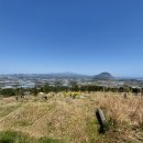 무릉도원올레 이미지