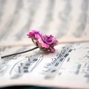 [2급과정] 심리상담사 2급 이미지