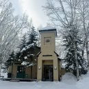 2214 | [삿포로] 비에이투어 후기&amp;유투어버스 추천