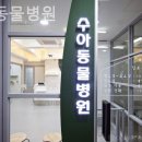 수아동물병원 네이버블로그