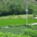 내흥리농장 이미지