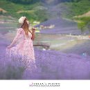 (주)라벤다 이미지