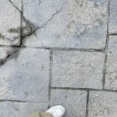 크라운호프 전주신시가지점 이미지