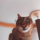 개삼터 오리전문점 이미지