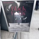 하얀이불 | 알레르망 블랙프라이데이 예단 구스이불 내돈내산 후기