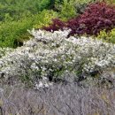 순천시립 공원묘지 이미지