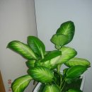 보라여성의원 이미지