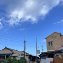 양철지붕위의고양이 이미지