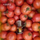 대성농장 유럽종완숙 찰토마토 정품 비품 25,000 판매합니다.. 이미지