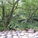 유진장여관 이미지