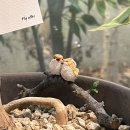 안필라테스&자이로토닉