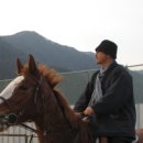 태경목장 이미지