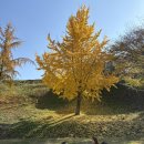 숙이네포차 이미지