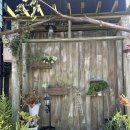 장미주유소 | 유럽꽃시장에 온듯한 강동구꽃집 현림플라워엔데코