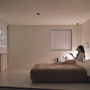 스테이디 이미지