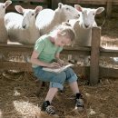 샬롯의 거미줄 이미지